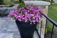 Flowers10