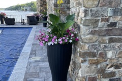 Flowers11
