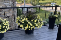 Flowers12