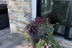 Flowers13