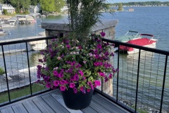 Flowers14