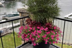 Flowers9