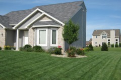 8NewLawnInstallation